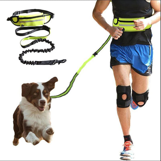 Hands Free Dog Walking And Training Belt With Shock Absorbing Bungee Leash For Up To 180lbs  Phone Pocket And Water Bottle Holder
